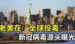 法国病毒爆料最新消息,疫情动态与防控措施全解析