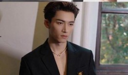 王星越最新爆料,揭秘娱乐圈惊人内幕