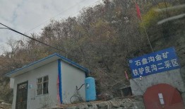 王庄爆料二虎是谁啊最新消息,二虎最新动向揭秘，热点事件追踪