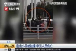 江苏女子爆料新闻视频最新,揭露惊人真相！