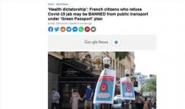 法国病毒爆料最新消息,疫情动态与防控措施全解析